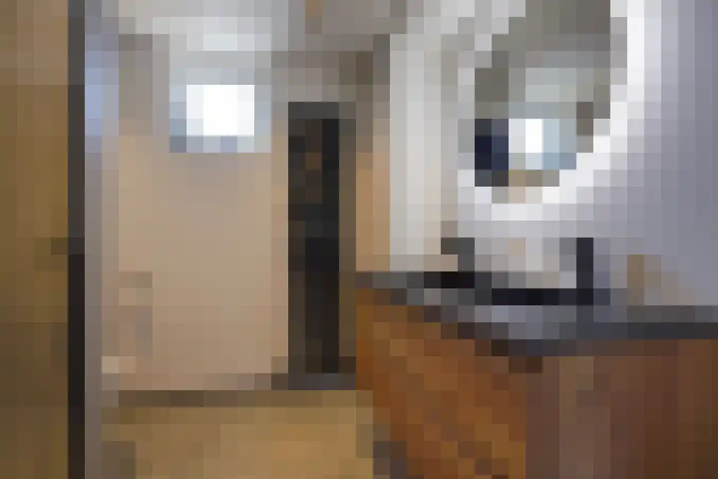Sperwerhorst 12 Honselersdijk thumbnail 27