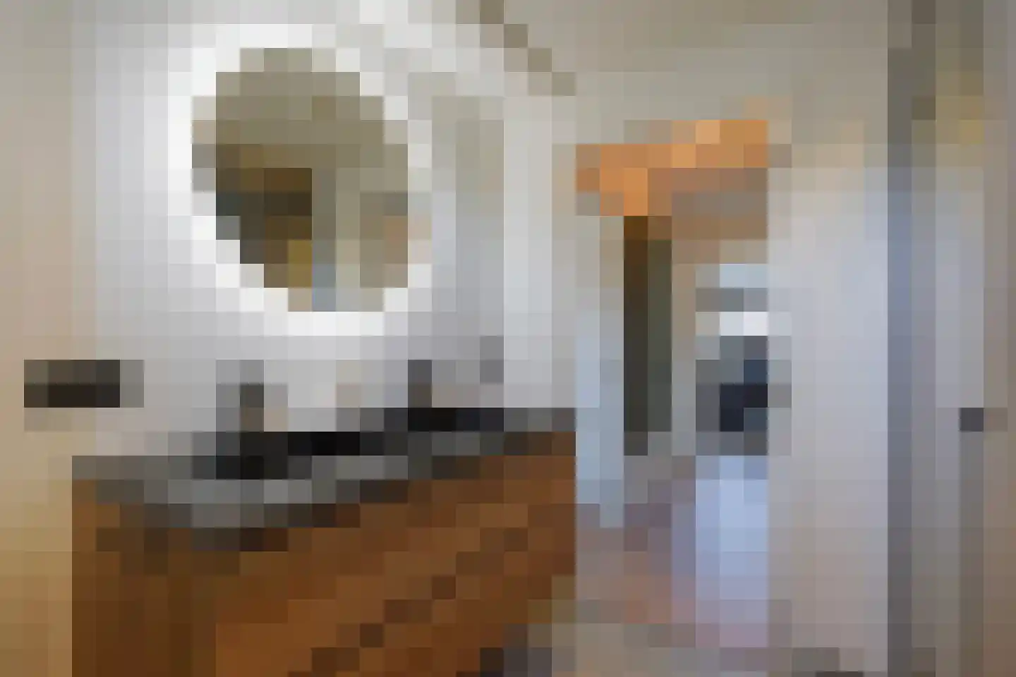 Sperwerhorst 12 Honselersdijk thumbnail 29