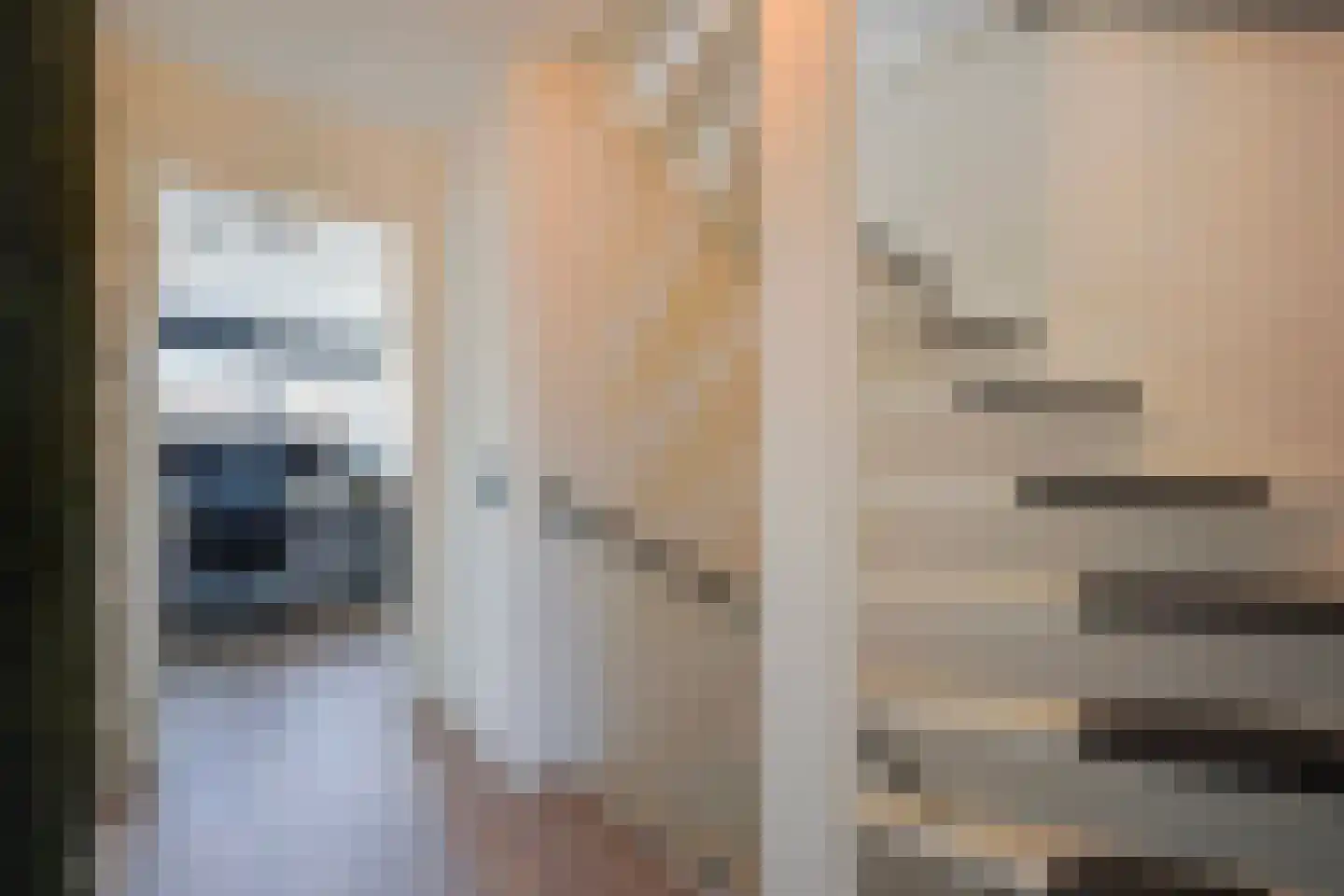 Sperwerhorst 12 Honselersdijk thumbnail 30