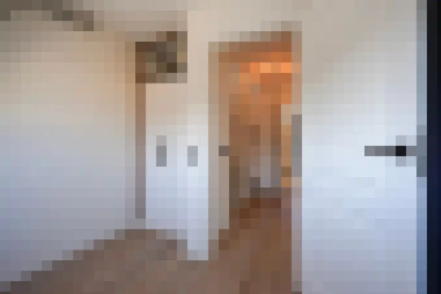 Sperwerhorst 12 Honselersdijk thumbnail 33