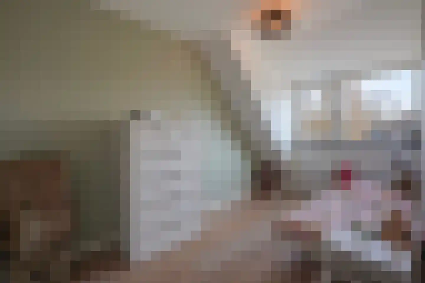 Sperwerhorst 12 Honselersdijk thumbnail 34