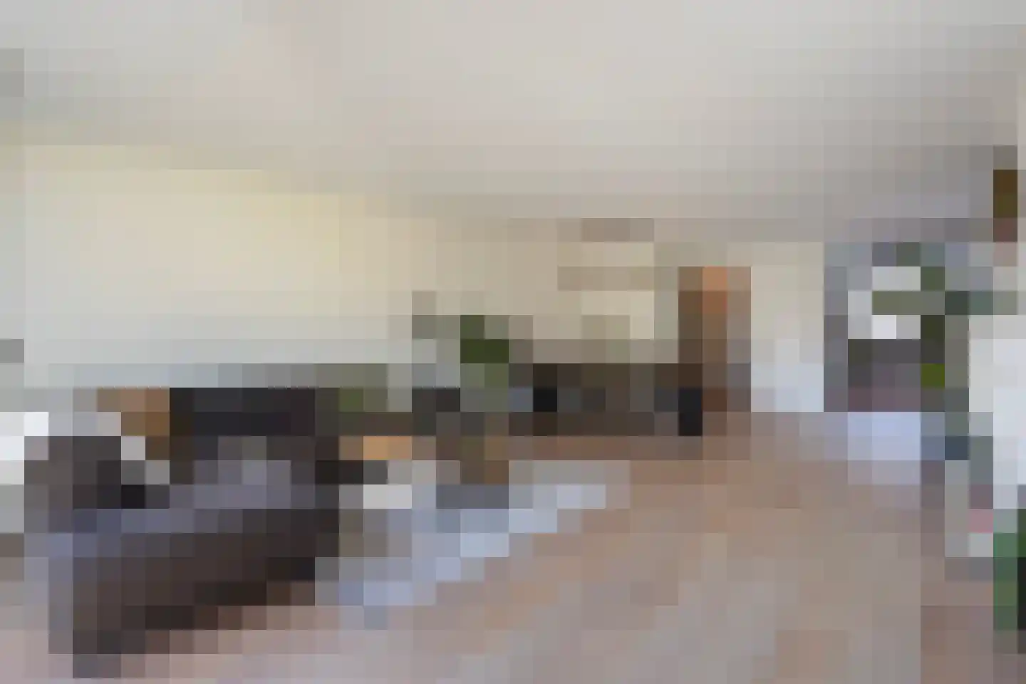 Sperwerhorst 12 Honselersdijk thumbnail 4
