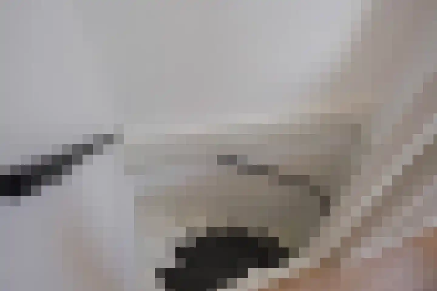 Sperwerhorst 12 Honselersdijk thumbnail 41