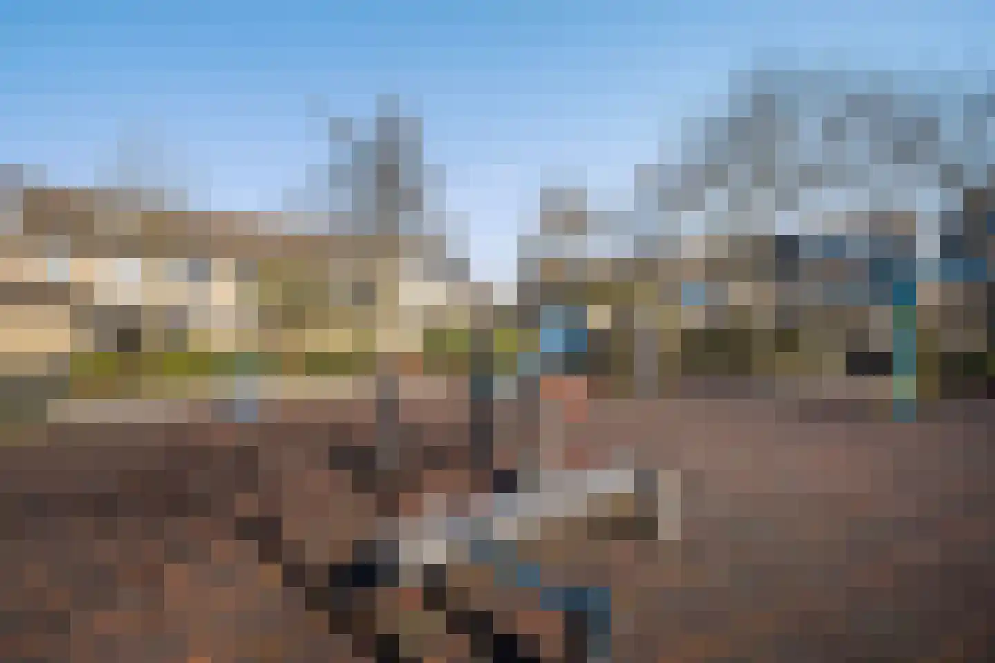 Sperwerhorst 12 Honselersdijk thumbnail 47