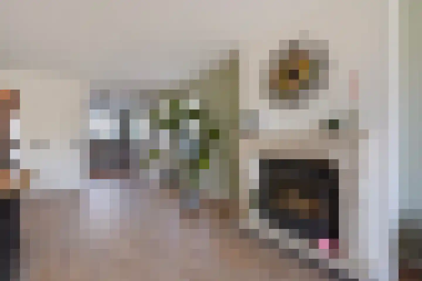 Sperwerhorst 12 Honselersdijk thumbnail 5