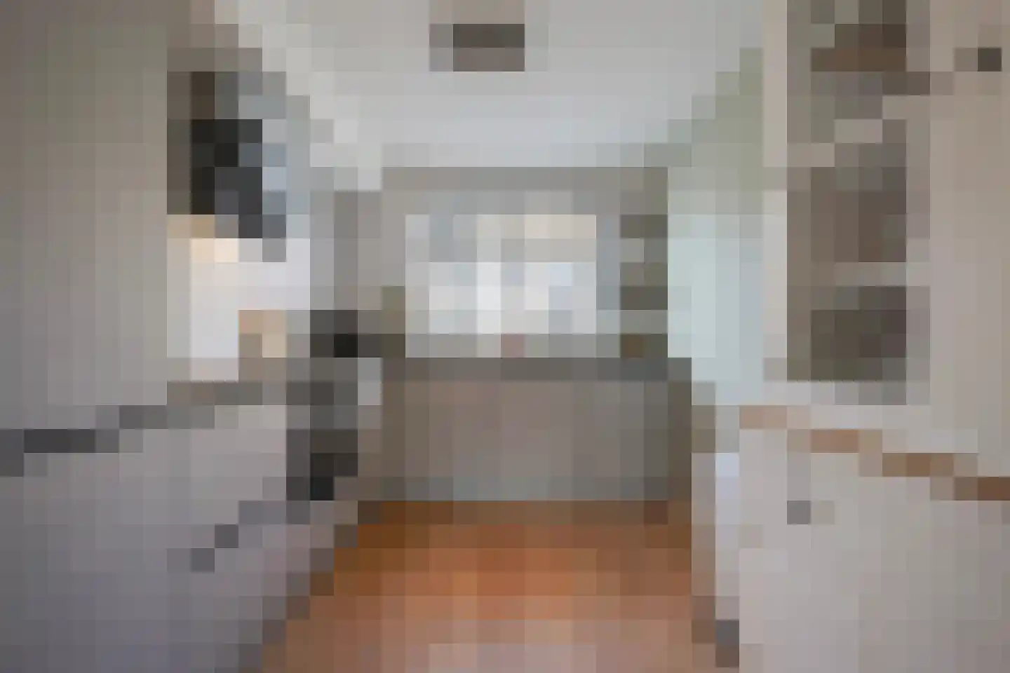Sperwerhorst 12 Honselersdijk thumbnail 7