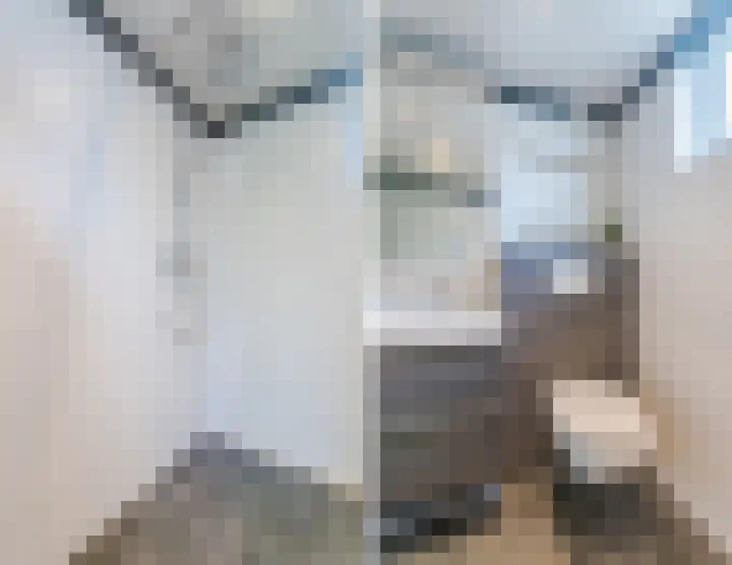 Sperwerhorst 22 Honselersdijk thumbnail 14