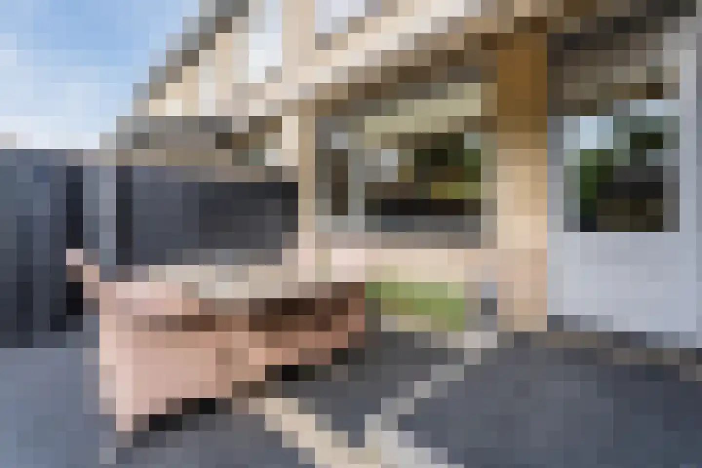 Sperwerhorst 22 Honselersdijk thumbnail 18