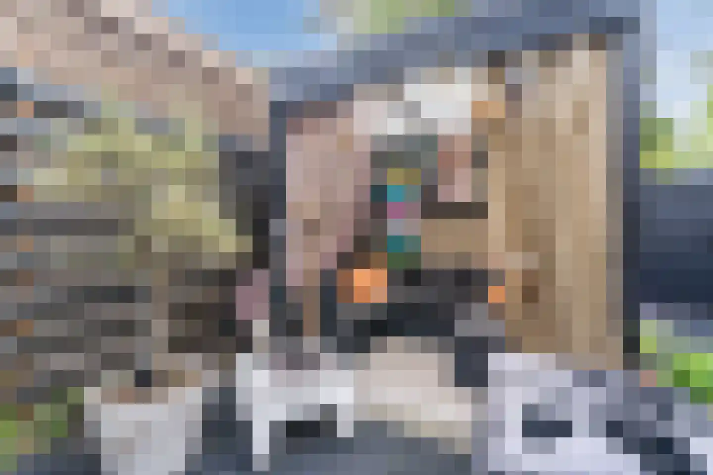 Sperwerhorst 22 Honselersdijk thumbnail 19