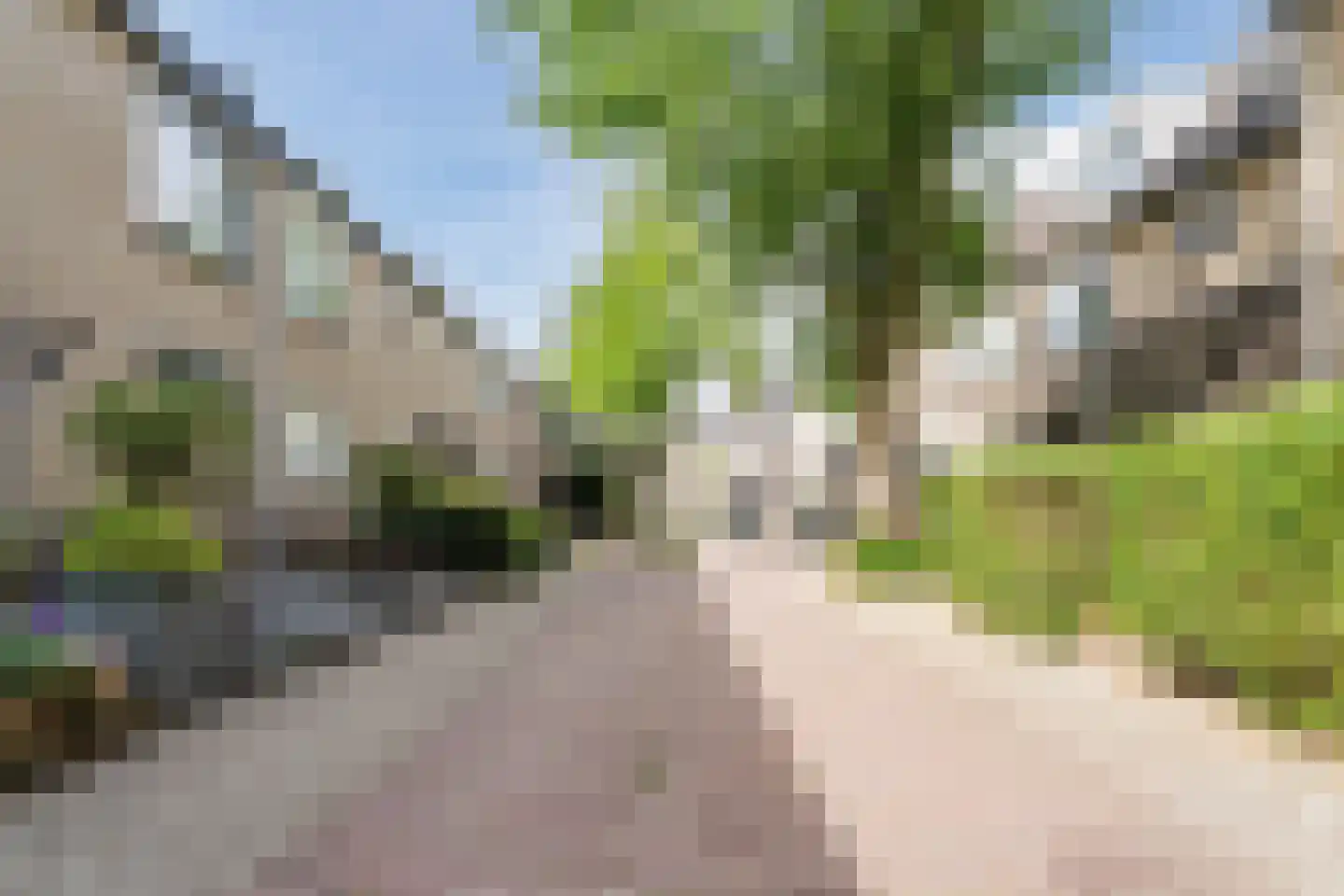 Sperwerhorst 22 Honselersdijk thumbnail 24