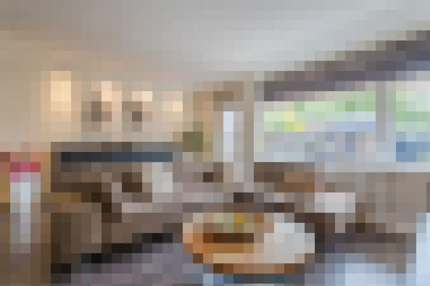 Sperwerhorst 22 Honselersdijk thumbnail 4