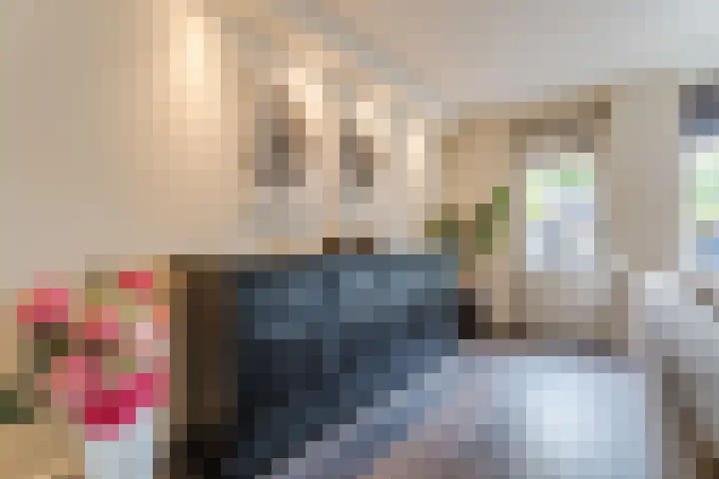 Sperwerhorst 22 Honselersdijk thumbnail 5