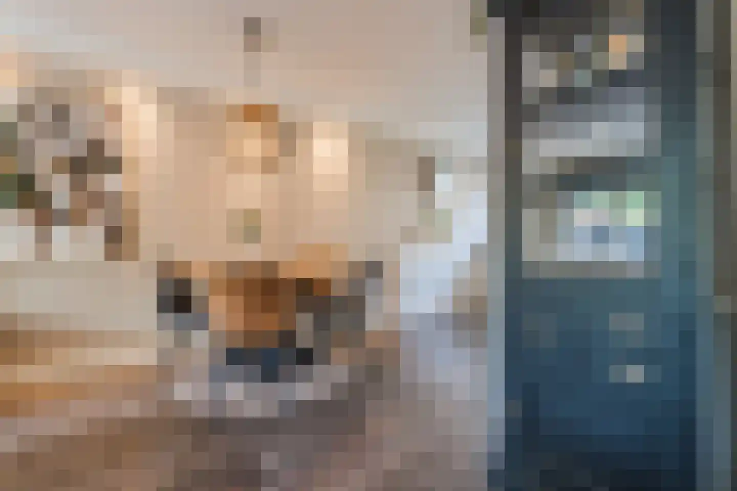 Sperwerhorst 22 Honselersdijk thumbnail 6