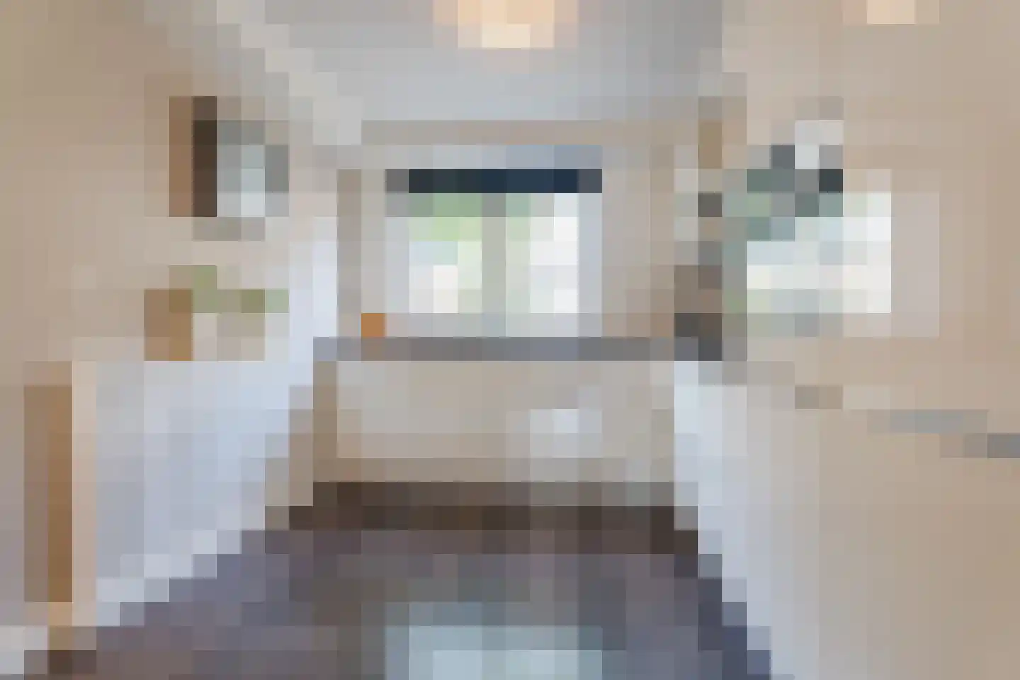 Sperwerhorst 22 Honselersdijk thumbnail 7