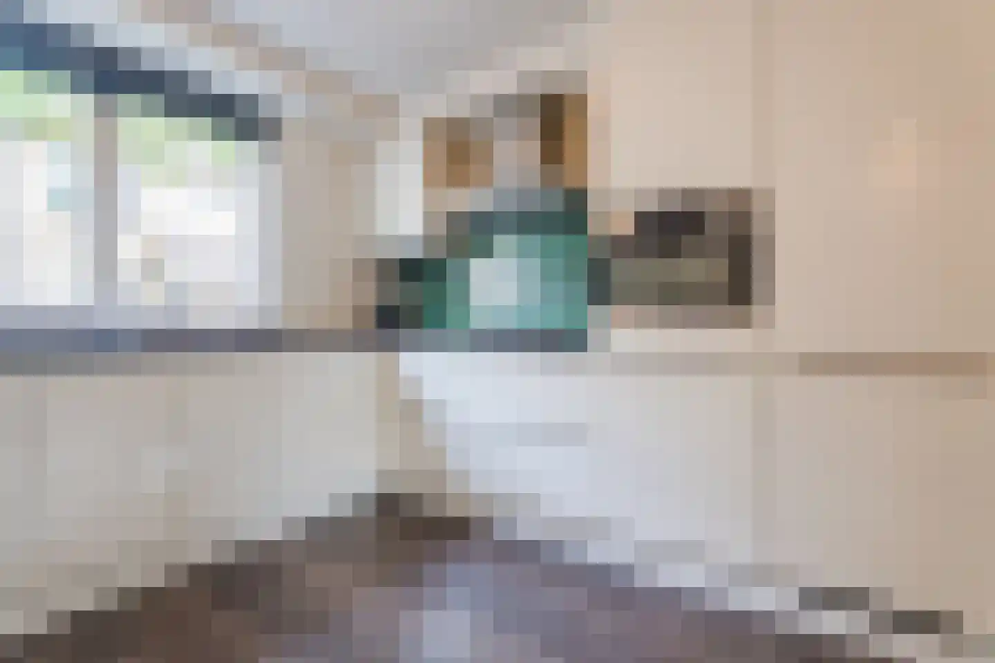 Sperwerhorst 22 Honselersdijk thumbnail 8