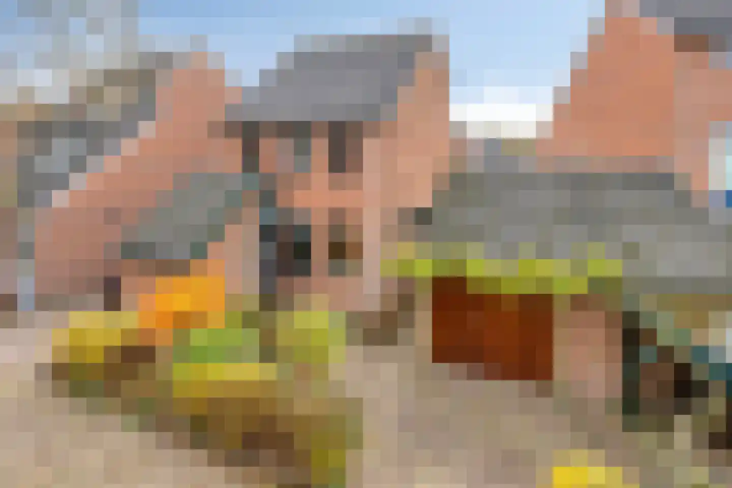 Sperwerhorst 23 dans Cuijk