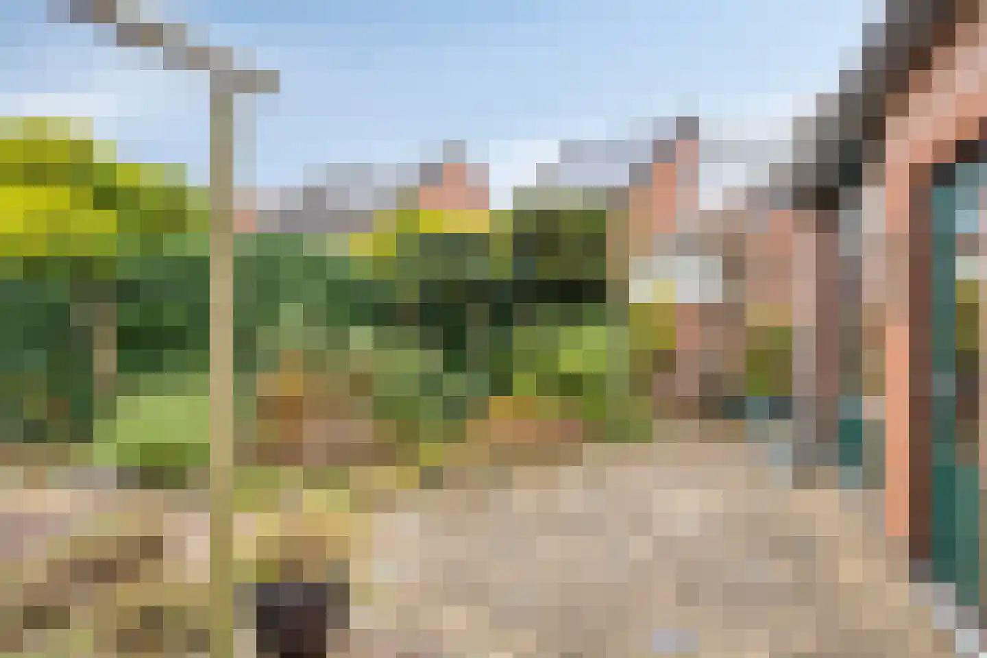 Sperwerhorst 23 Cuijk thumbnail 31
