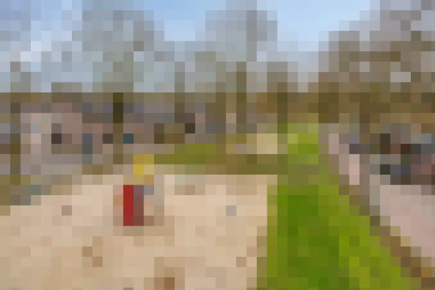 Sperwerhorst 23 Cuijk thumbnail 34
