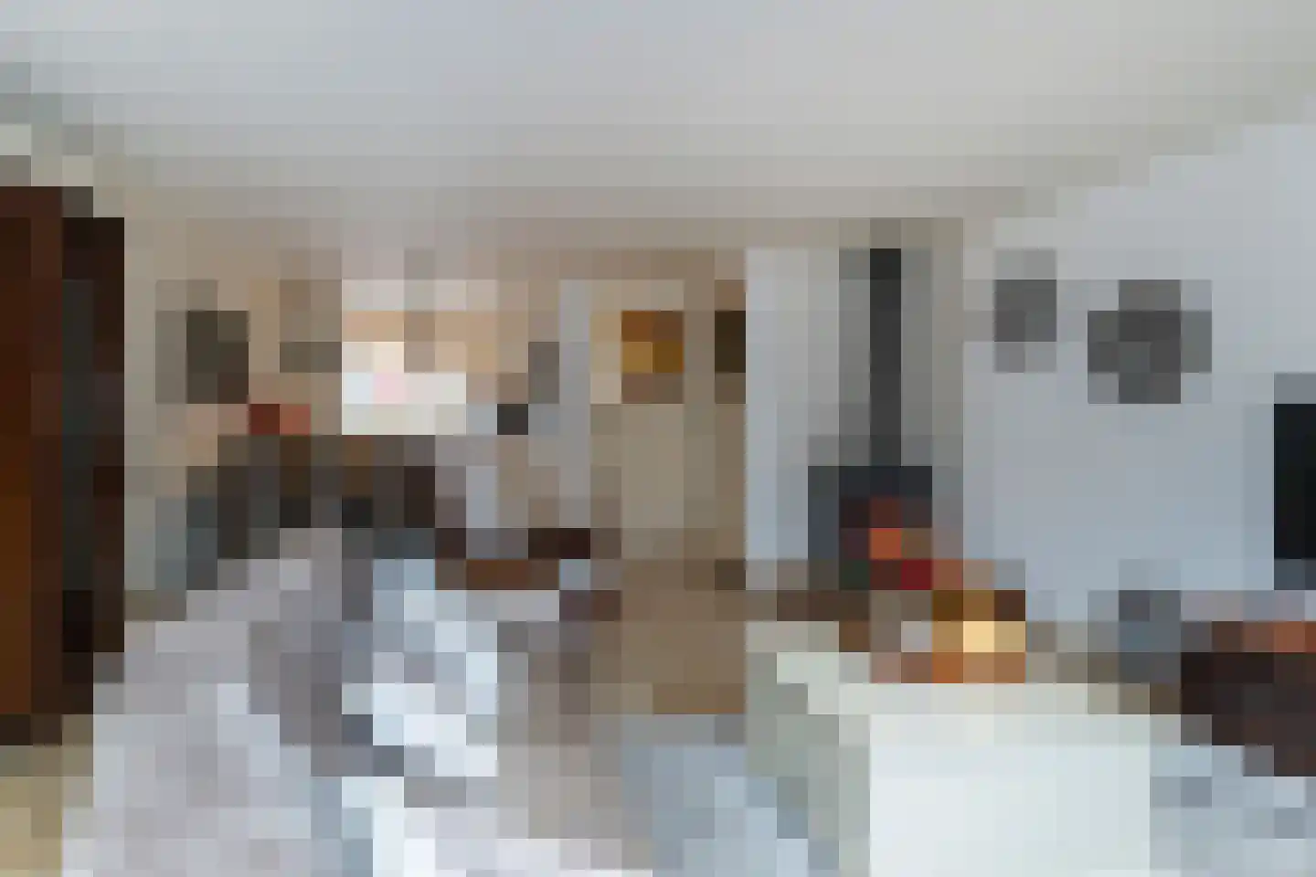 Sperwerhorst 3 Honselersdijk thumbnail 10