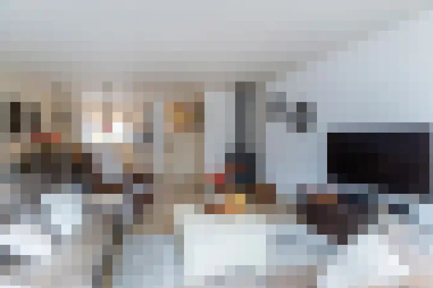 Sperwerhorst 3 Honselersdijk thumbnail 11
