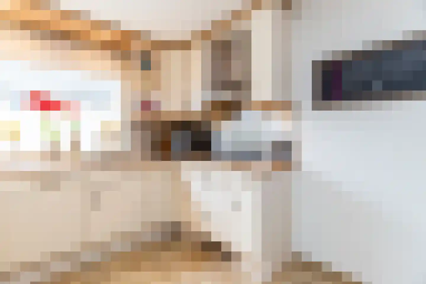 Sperwerhorst 3 Honselersdijk thumbnail 15