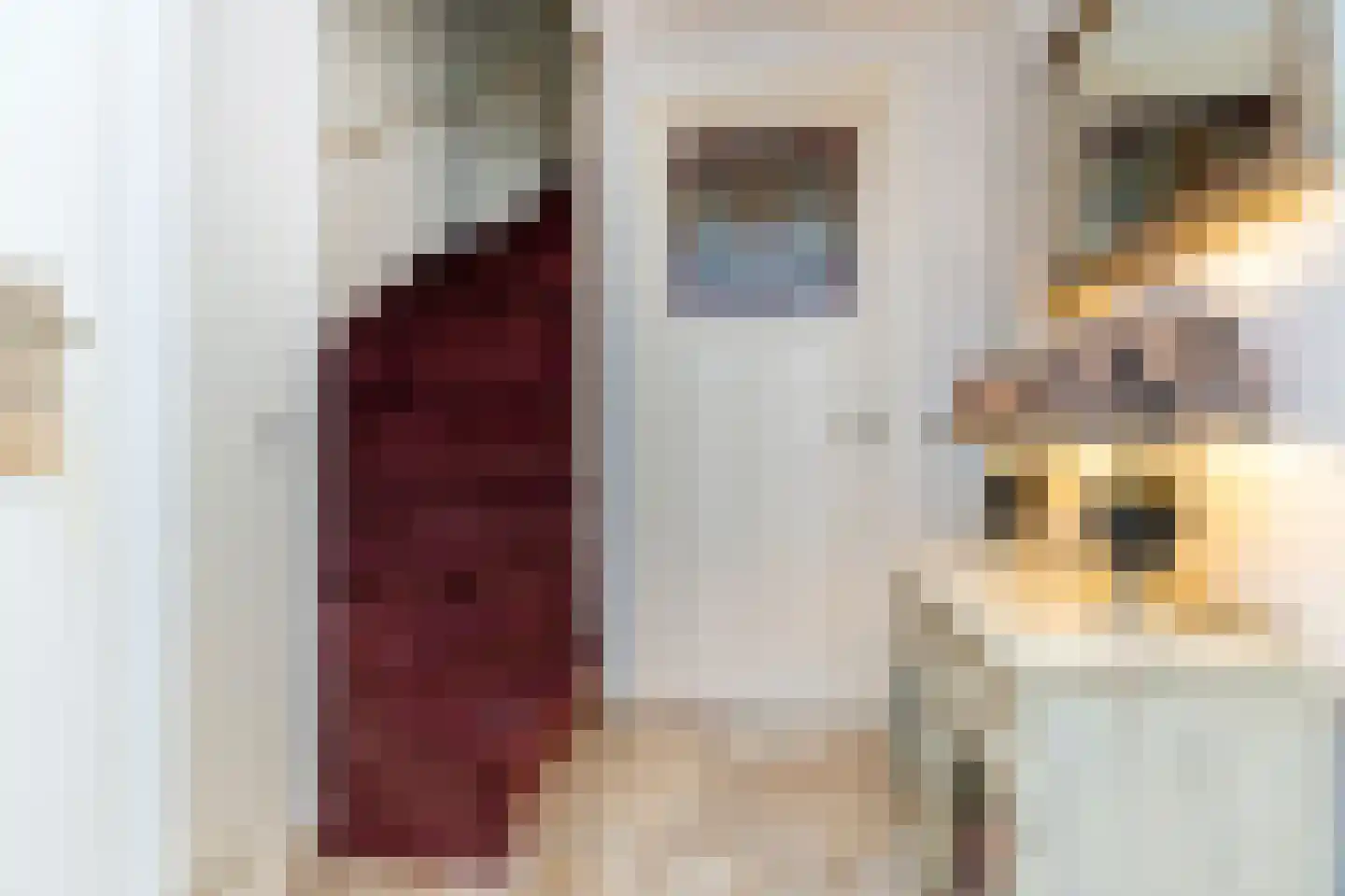 Sperwerhorst 3 Honselersdijk thumbnail 19