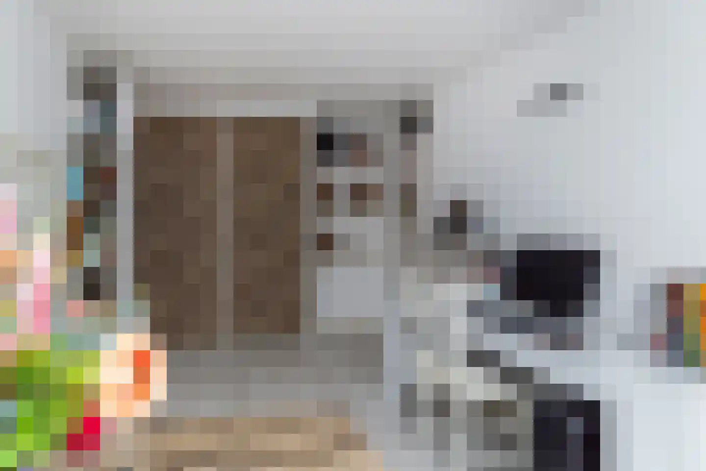 Sperwerhorst 3 Honselersdijk thumbnail 21