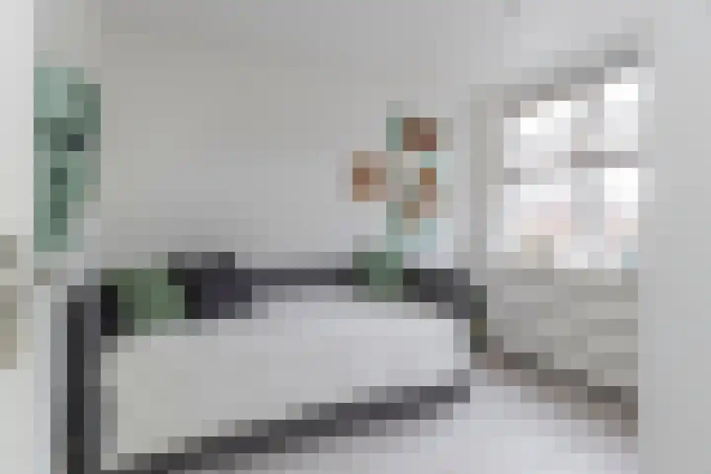 Sperwerhorst 3 Honselersdijk thumbnail 23