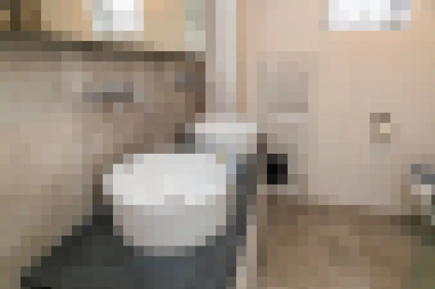 Sperwerhorst 3 Honselersdijk thumbnail 25
