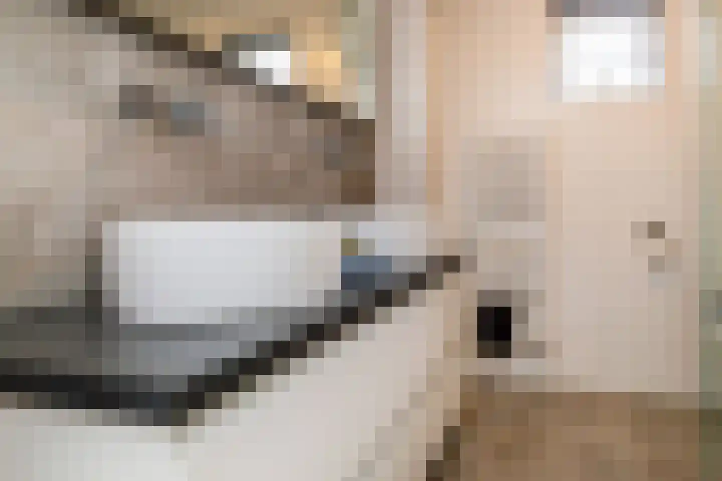 Sperwerhorst 3 Honselersdijk thumbnail 26