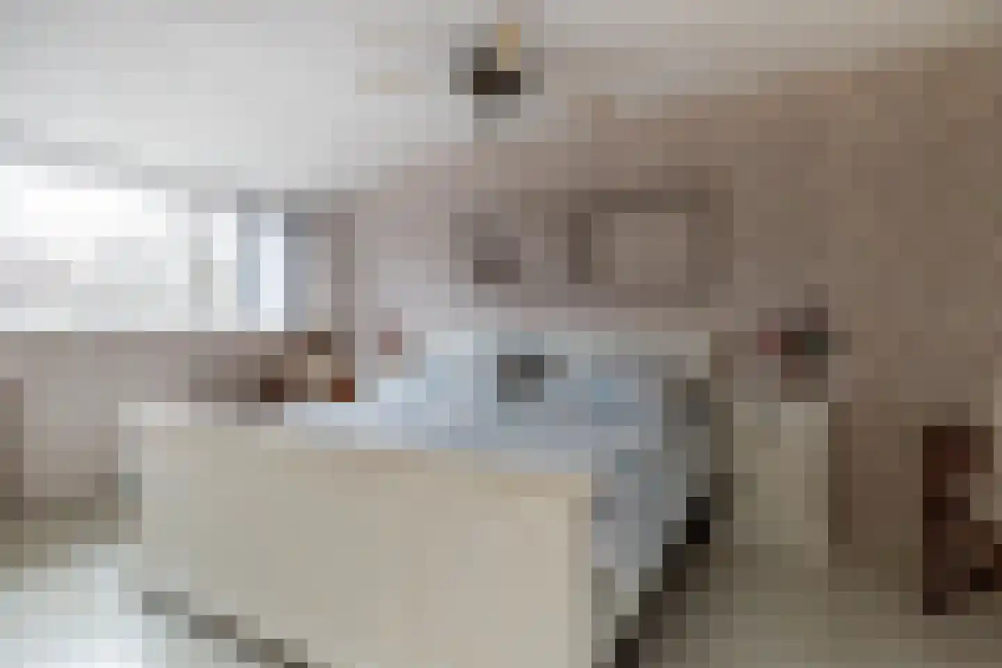 Sperwerhorst 3 Honselersdijk thumbnail 29