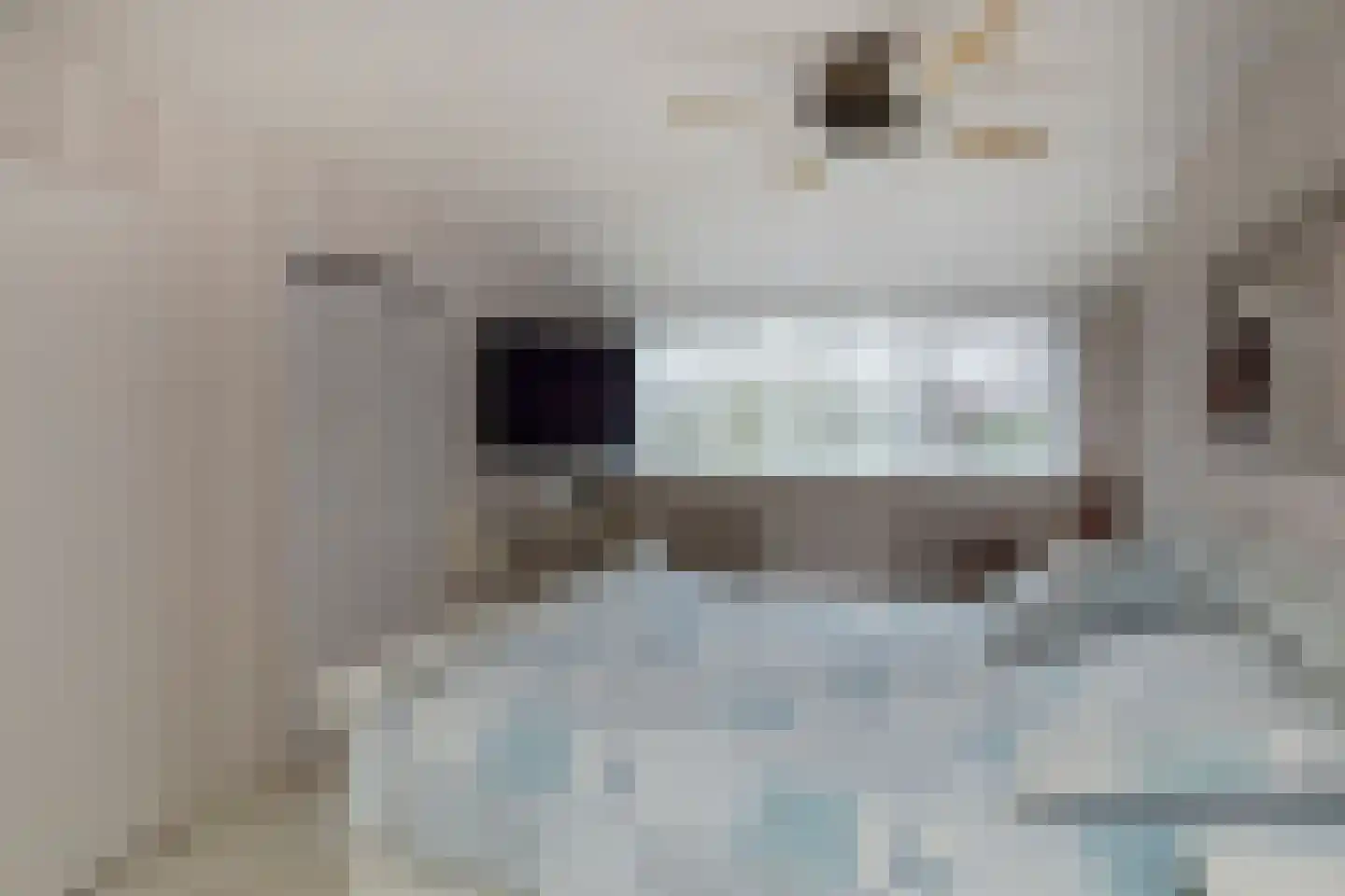 Sperwerhorst 3 Honselersdijk thumbnail 30