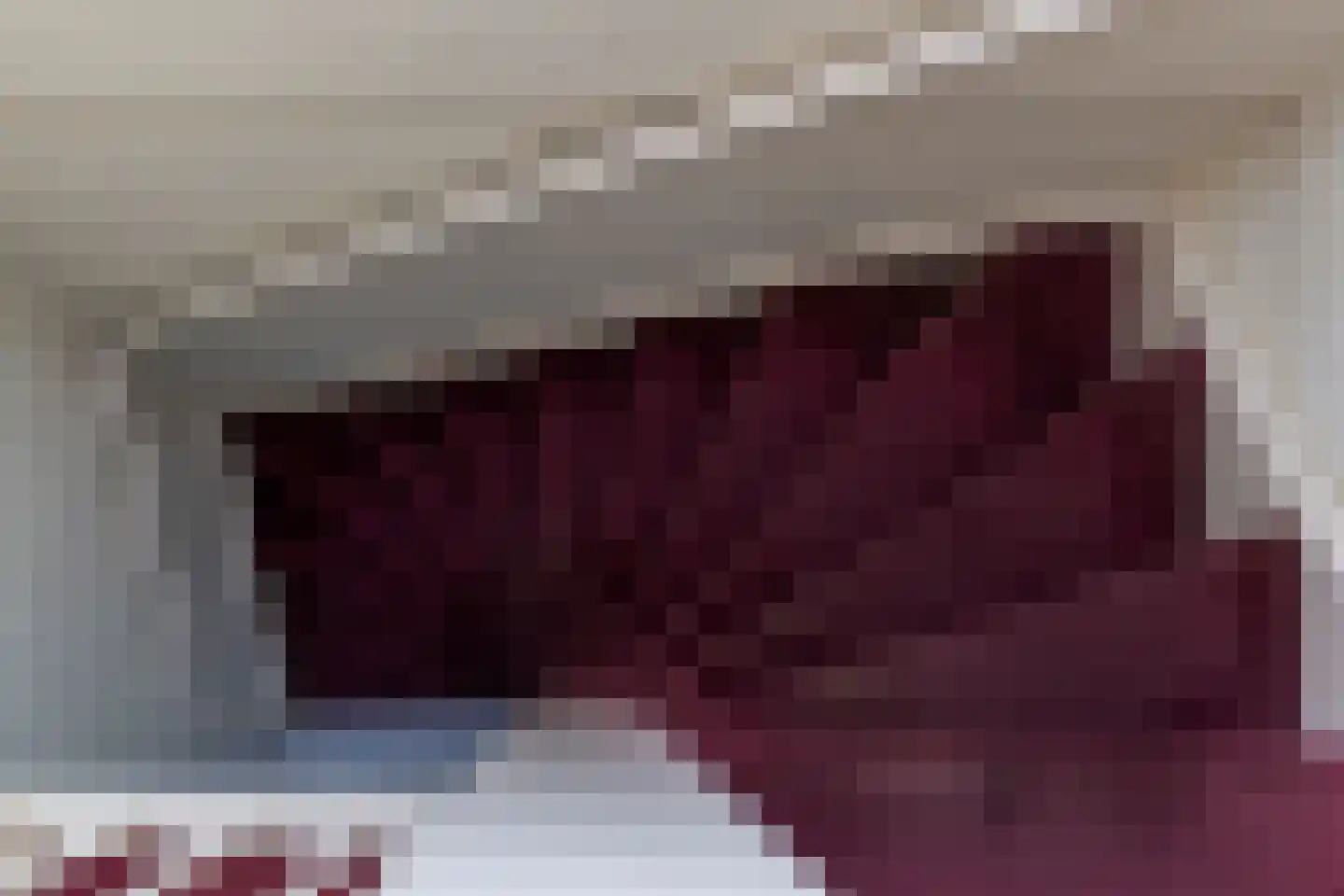 Sperwerhorst 3 Honselersdijk thumbnail 33