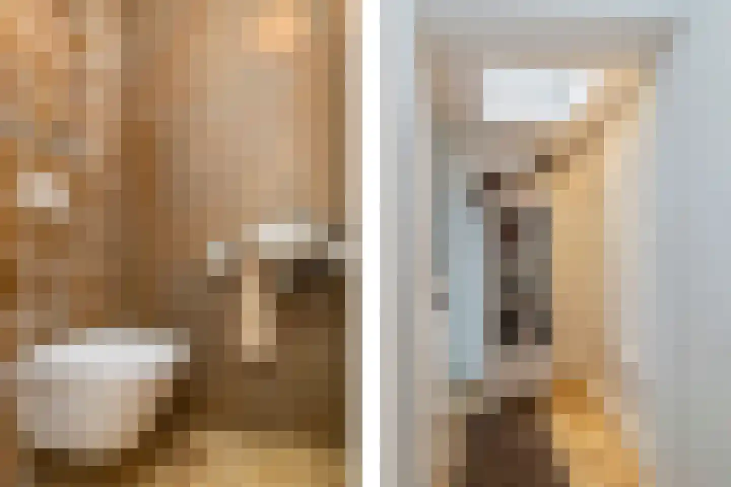 Sperwerhorst 3 Honselersdijk thumbnail 34