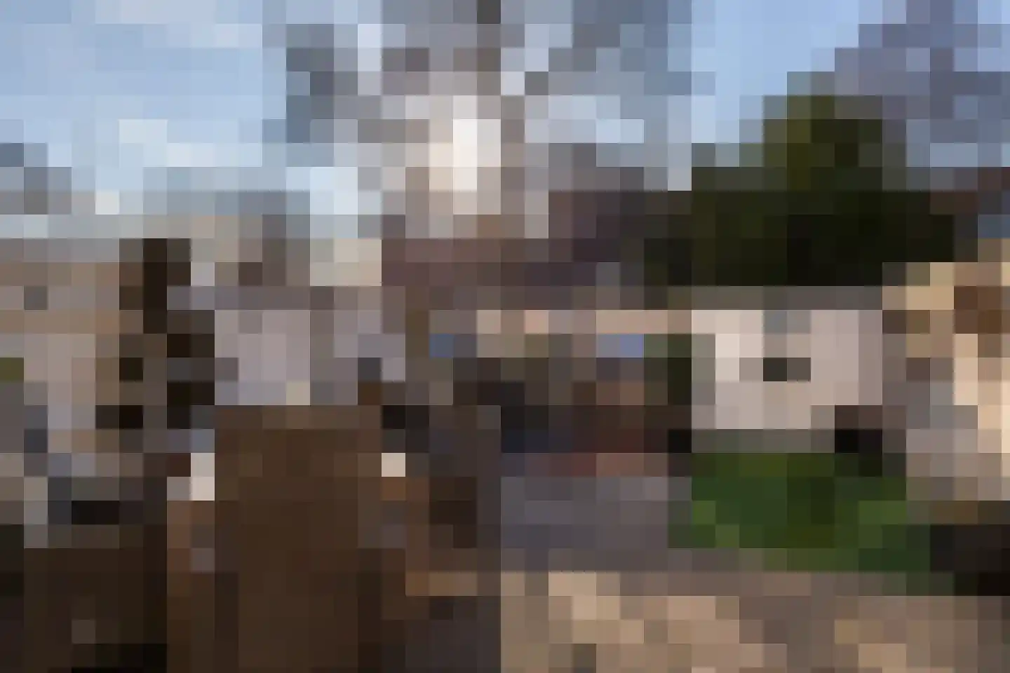 Sperwerhorst 3 Honselersdijk thumbnail 40