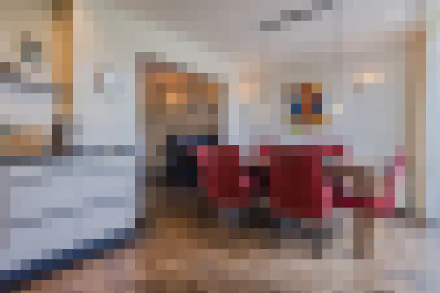 Sperwerhorst 5 Cuijk thumbnail 17