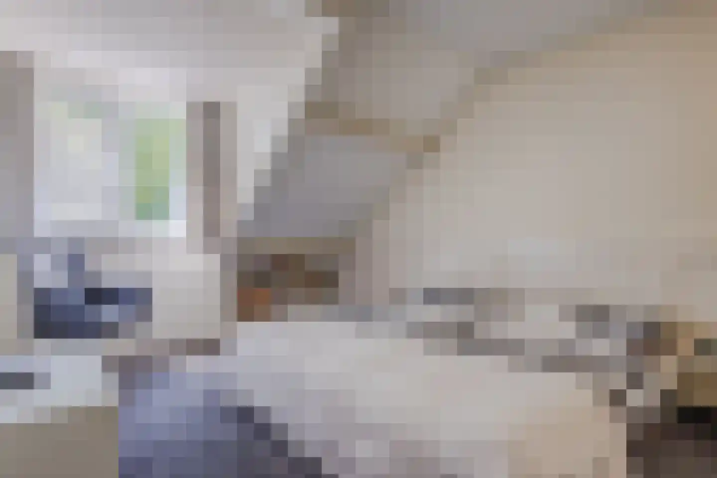 Sperwerhorst 5 Cuijk thumbnail 19