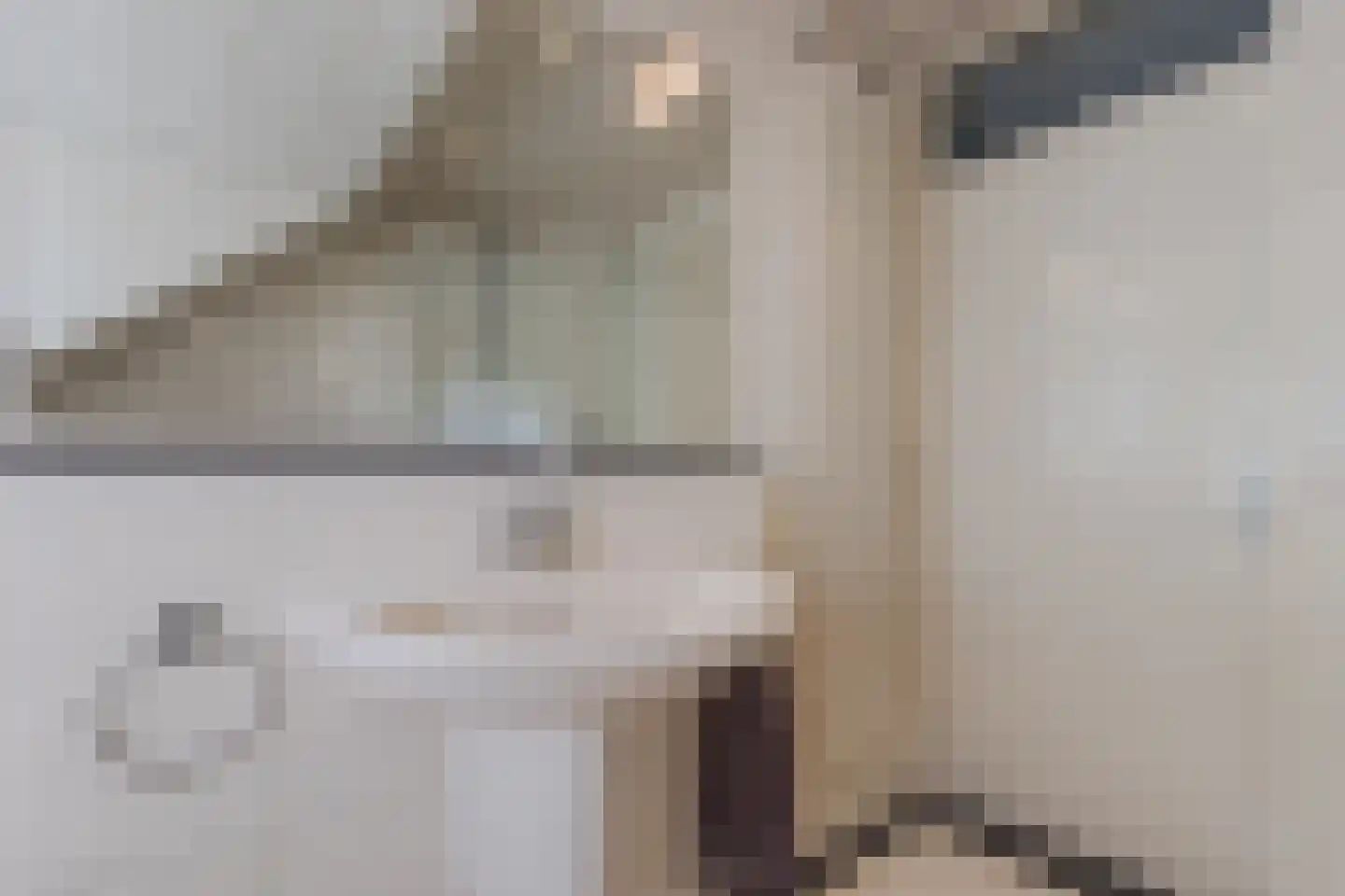 Sperwerhorst 5 Cuijk thumbnail 28