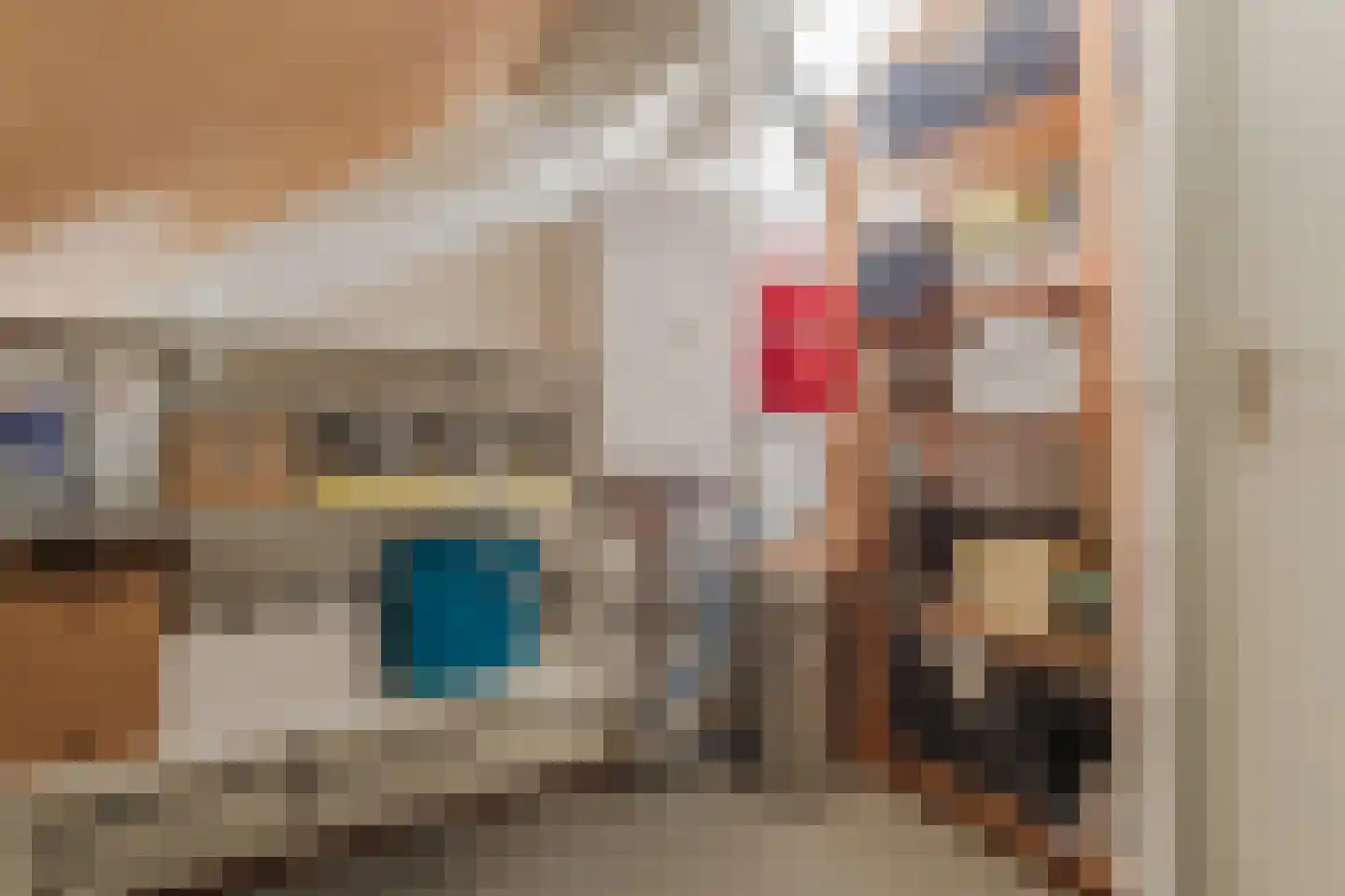 Sperwerhorst 5 Cuijk thumbnail 30