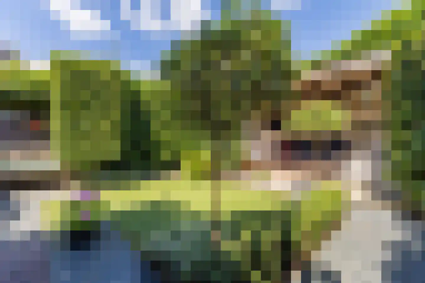Sperwerhorst 5 Cuijk thumbnail 35