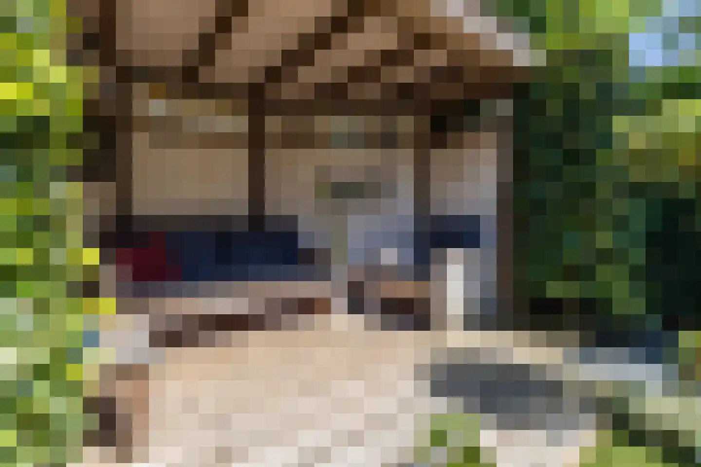 Sperwerhorst 5 Cuijk thumbnail 36