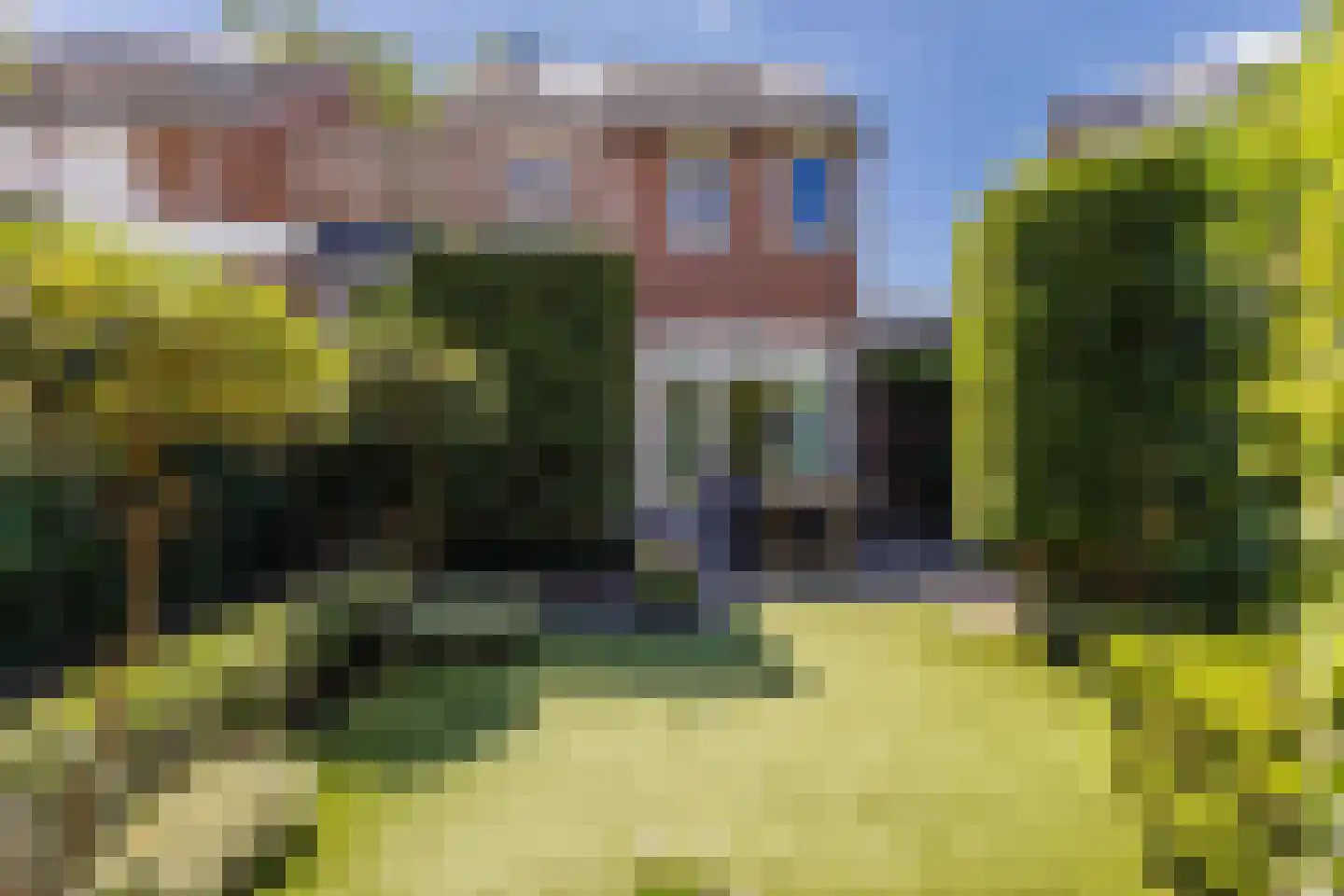 Sperwerhorst 5 Cuijk thumbnail 37