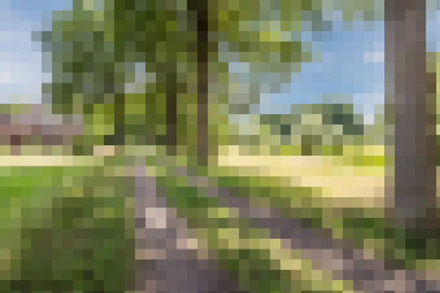 Sperwerhorst 5 Cuijk thumbnail 39