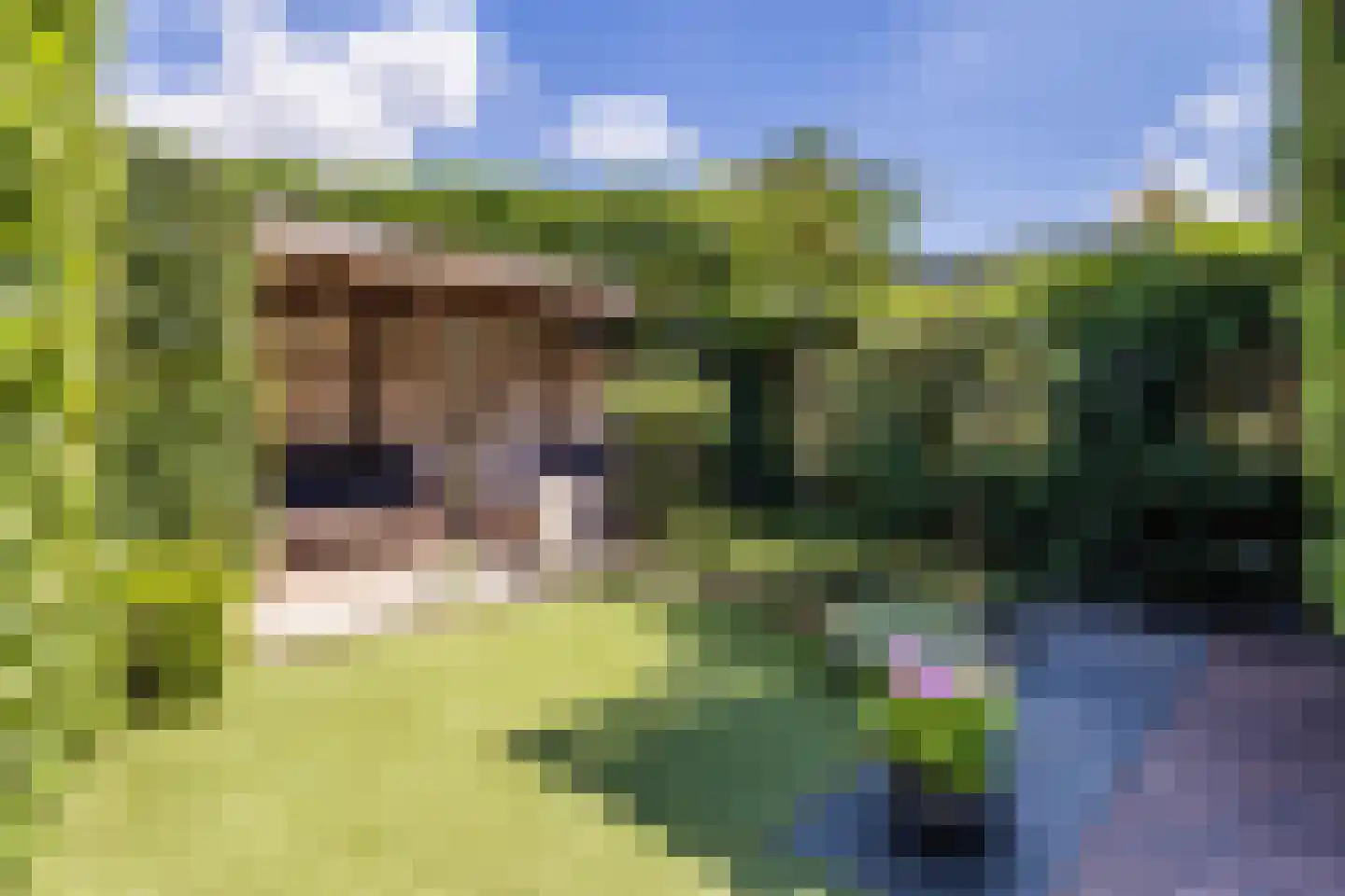 Sperwerhorst 5 Cuijk thumbnail 4