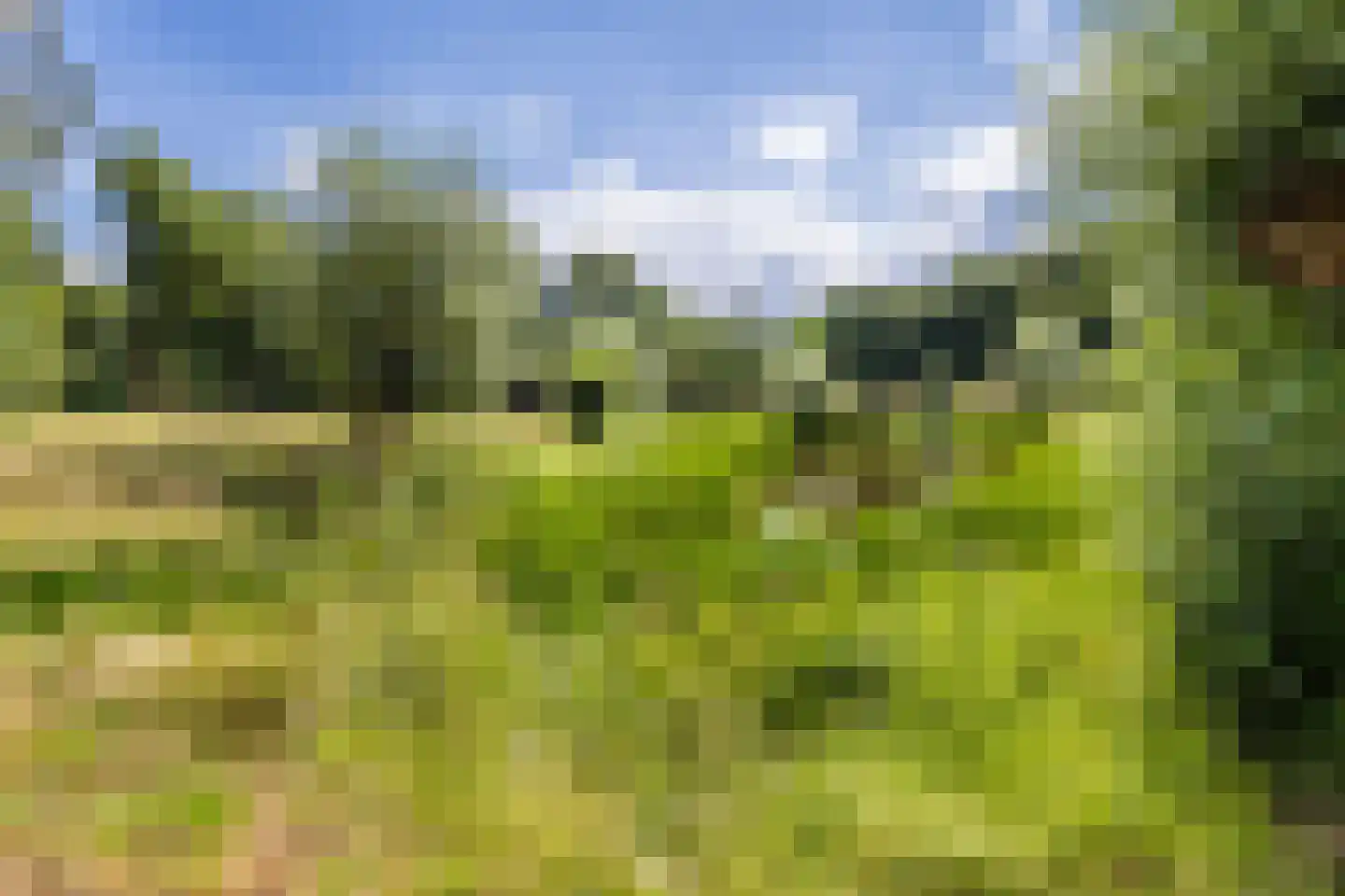 Sperwerhorst 5 Cuijk thumbnail 41