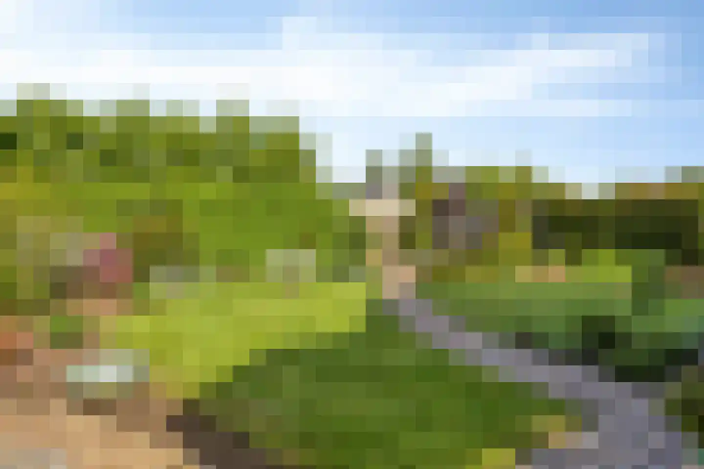 Sperwerhorst 63 Cuijk thumbnail 19