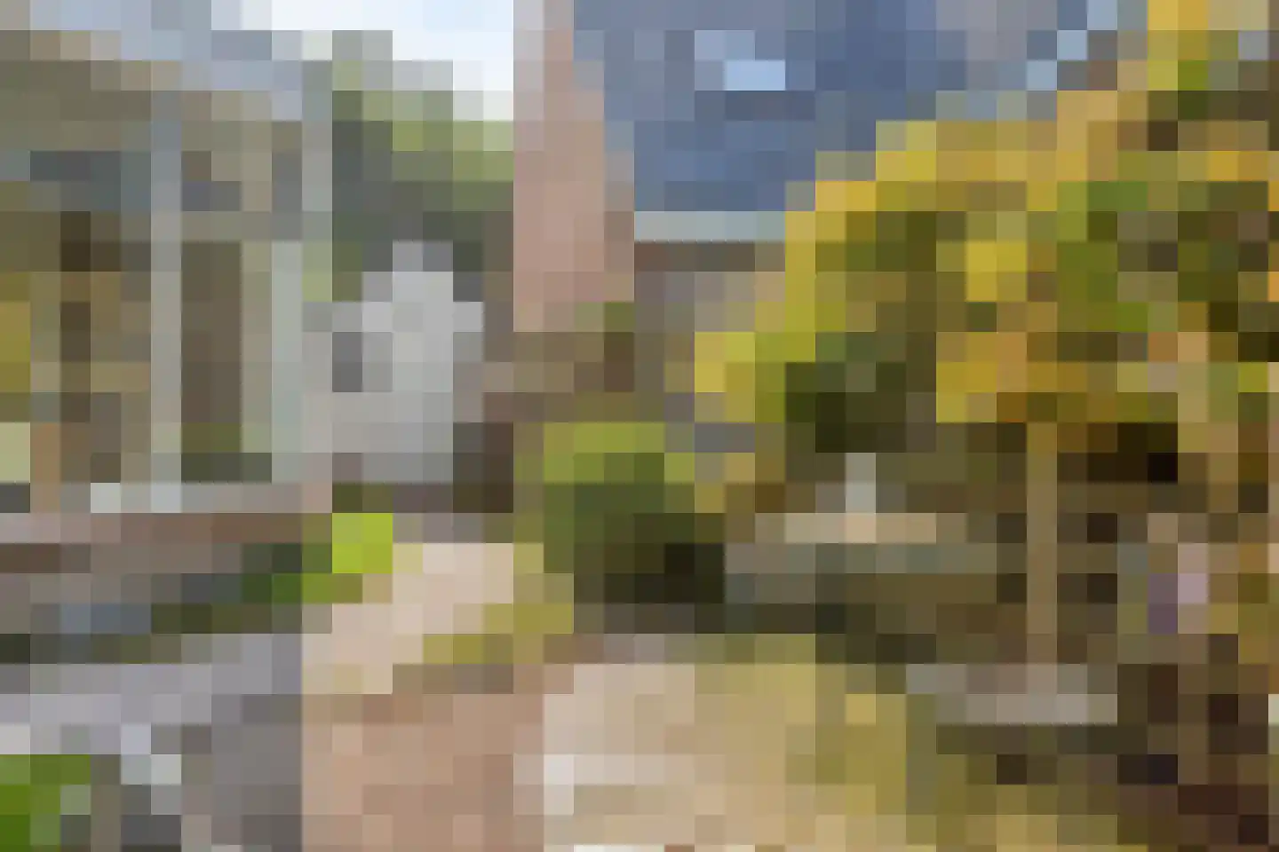 Sperwerhorst 63 Cuijk thumbnail 21