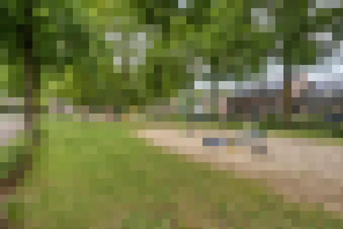 Sperwerhorst 63 Cuijk thumbnail 22