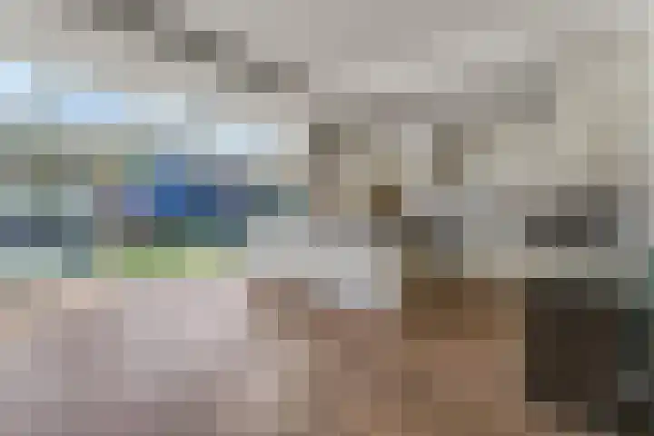 Sperwerkamp 1 Driebergen-Rijsenburg thumbnail 10