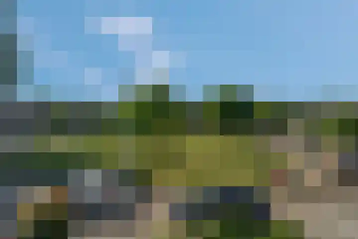 Sperwerkamp 1 Driebergen-Rijsenburg thumbnail 26